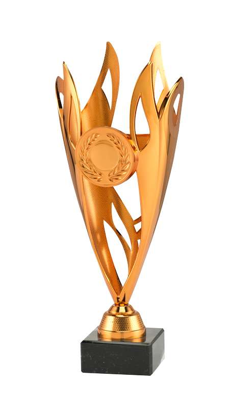 Celebrate Achievements with Spa & VB Trophies Cups